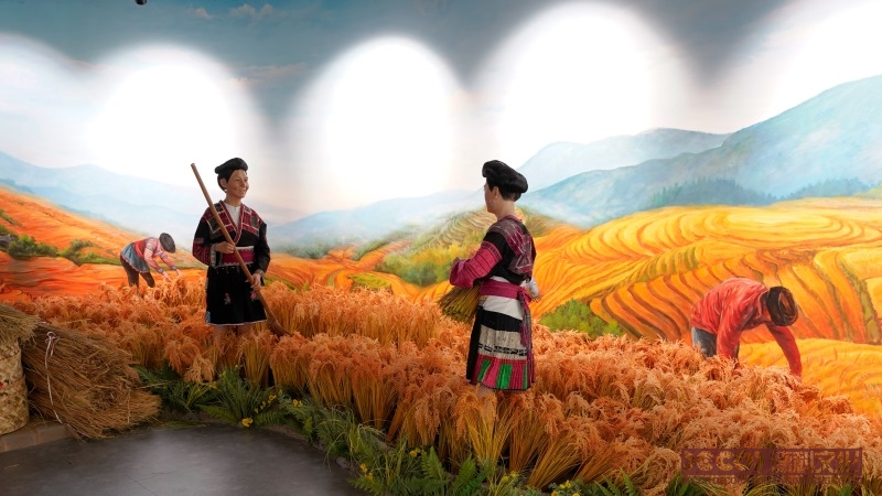 展館設(shè)計(jì)平面布局有哪些創(chuàng)新形式？